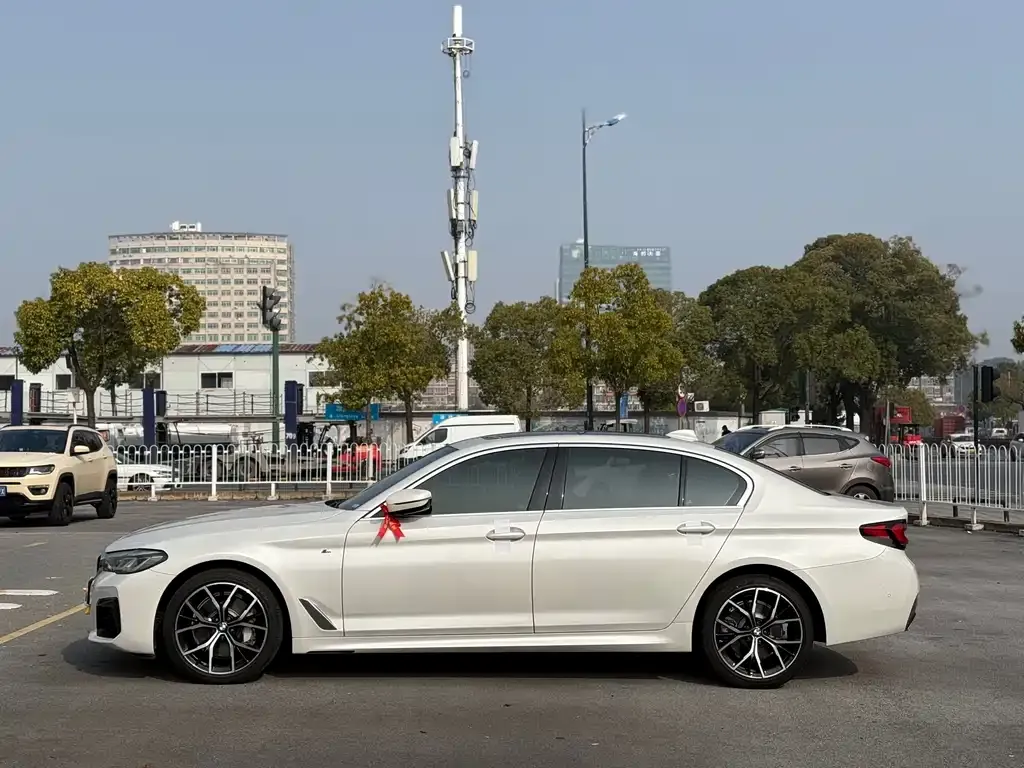 BMW 5 Series 2021 из CN, фото 3