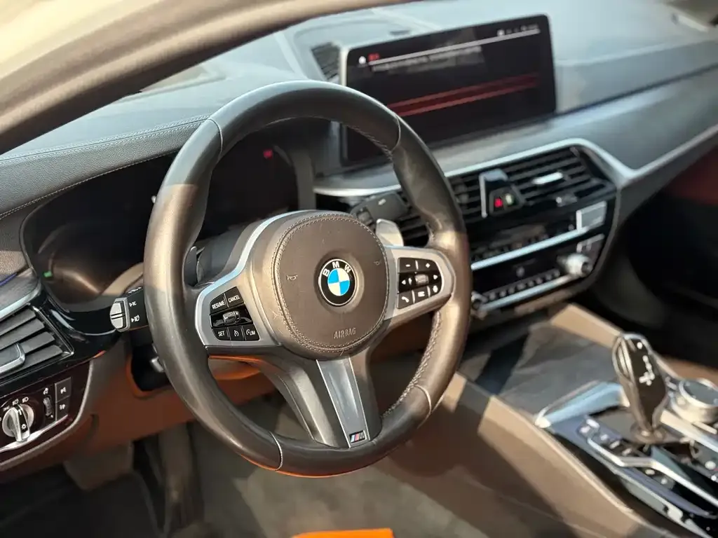 BMW 5 Series 2021 из CN, фото 5