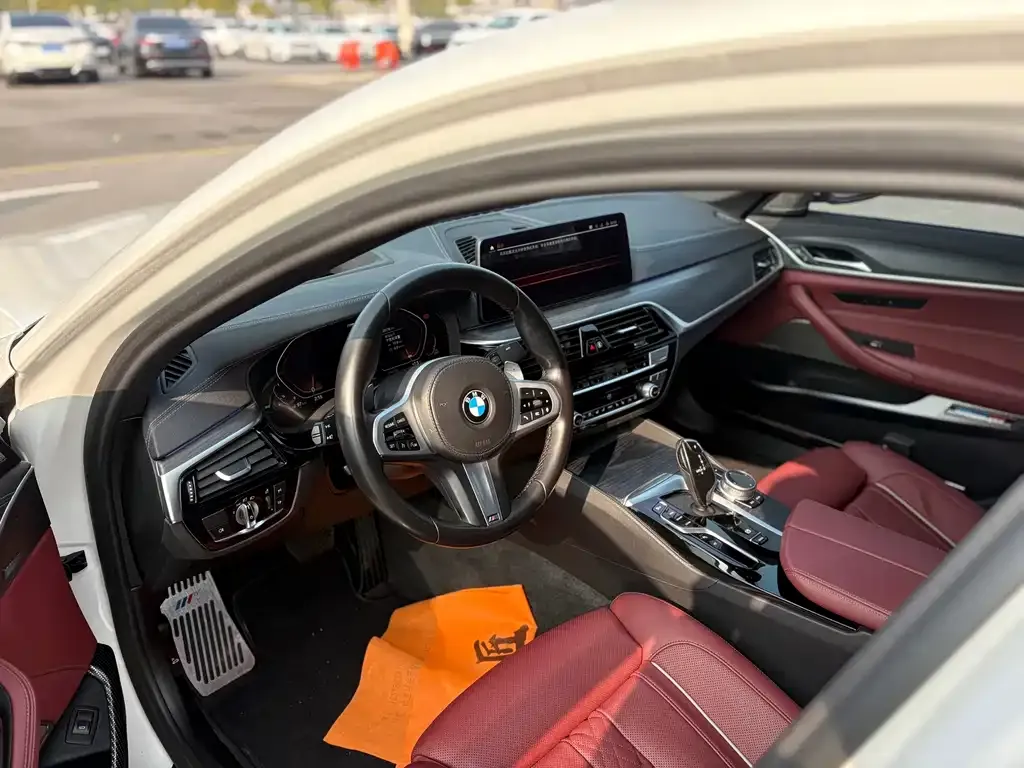 BMW 5 Series 2021 из CN, фото 2