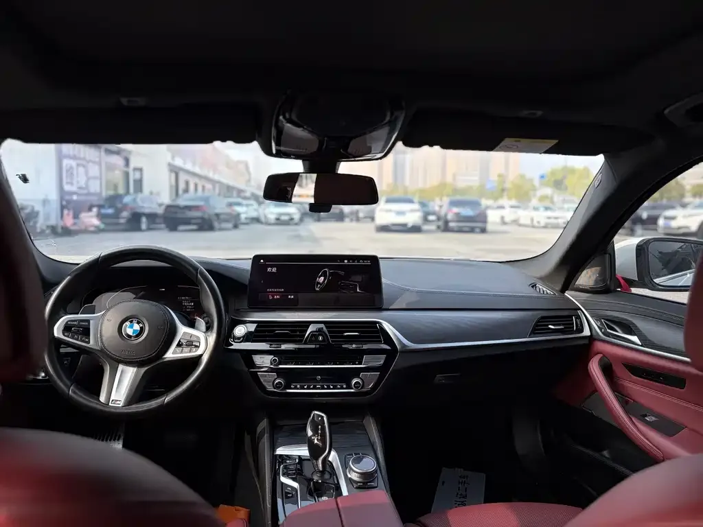 BMW 5 Series 2021 из CN, фото 7