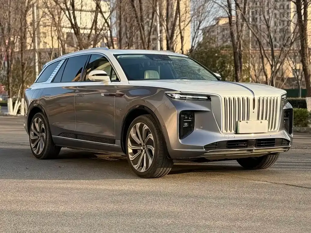 Hongqi E-HS9 — фото 10
