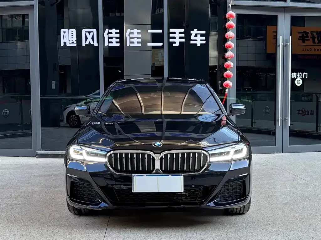 BMW 5 Series 2023 из CN, фото 3