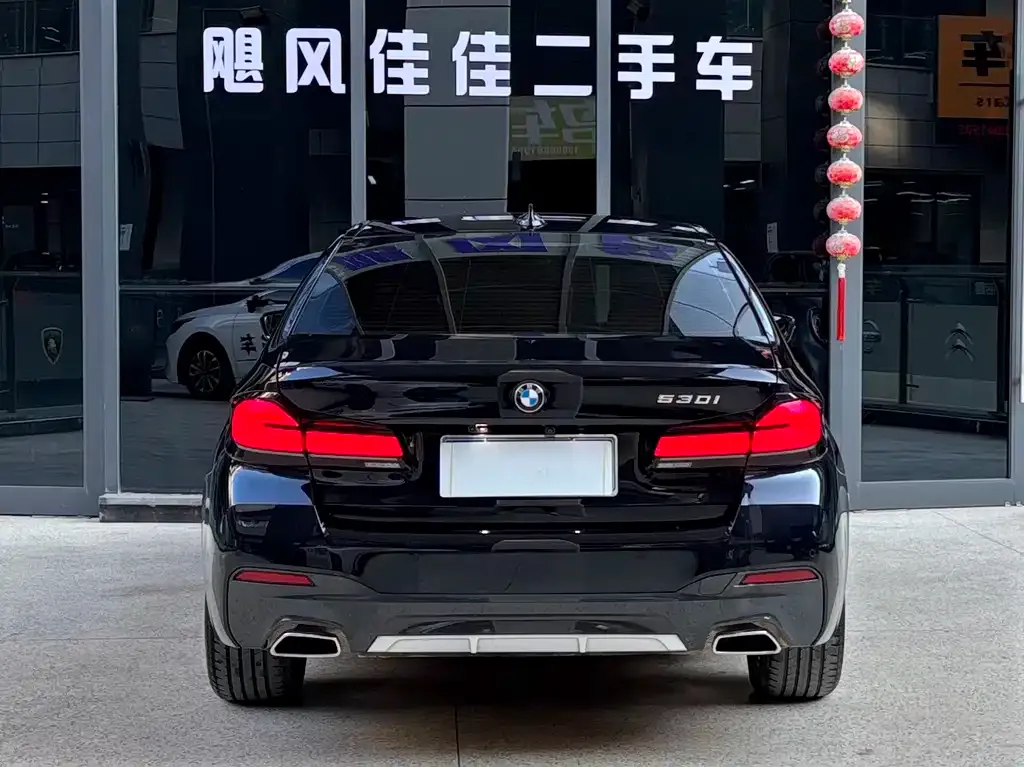 BMW 5 Series 2023 из CN, фото 5