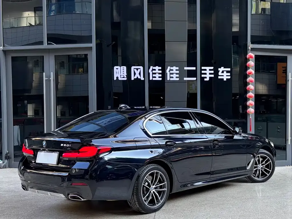 BMW 5 Series 2023 из CN, фото 4