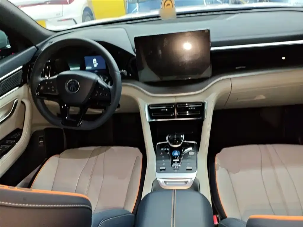 BYD PLUS New Energy 2023 из CN, фото 5