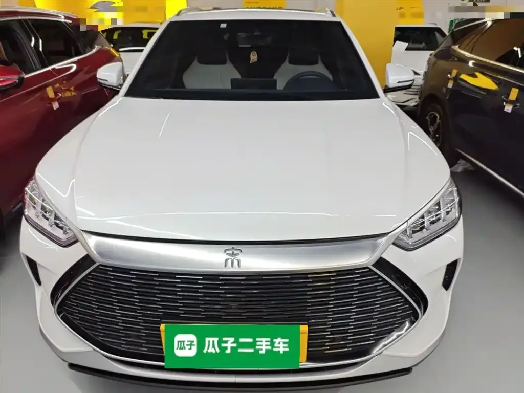BYD PLUS New Energy 2023 из CN, фото 10