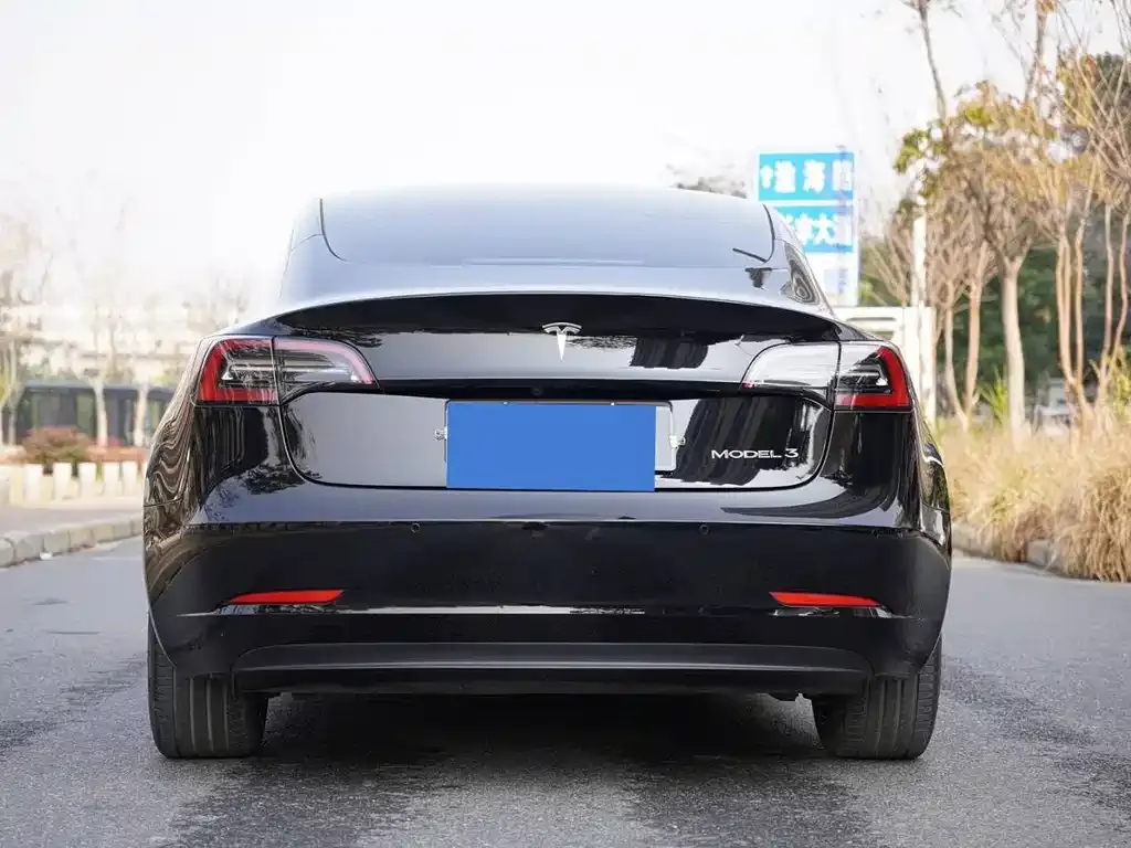 Tesla Model 3 2024 из CN, фото 9