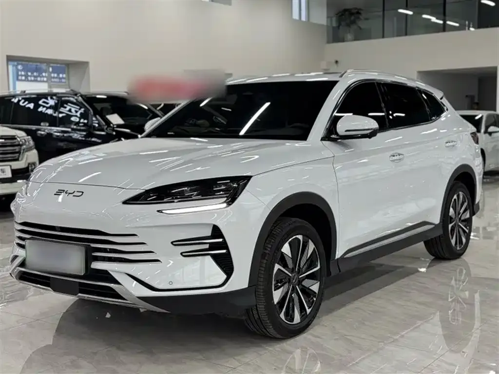 BYD PLUS New Energy — фото 2