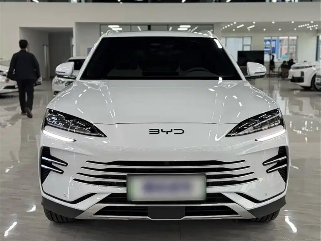 BYD PLUS New Energy — фото 3