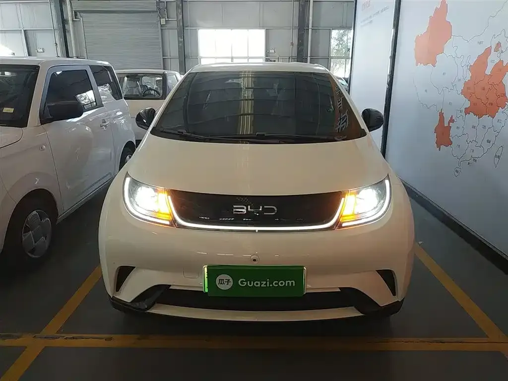 [object Object] Dolphin 2025 из CN, фото 3