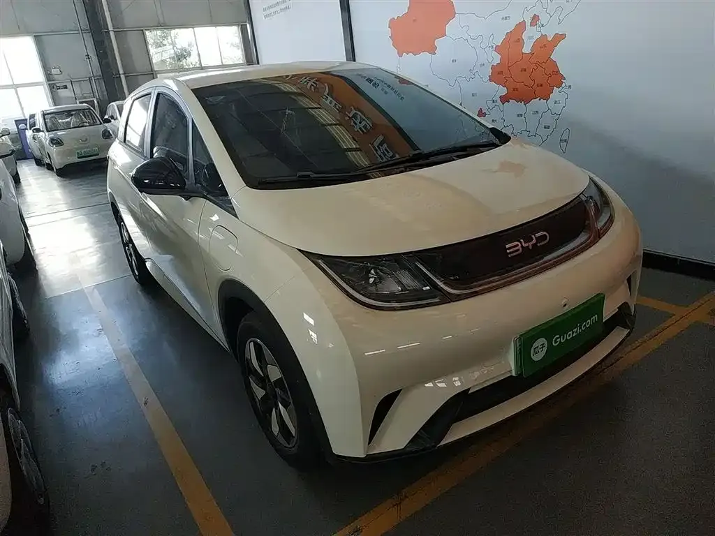 [object Object] Dolphin 2025 из CN, фото 4