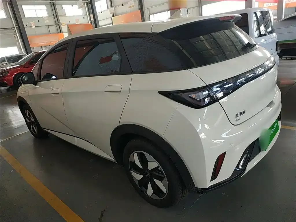 [object Object] Dolphin 2025 из CN, фото 5