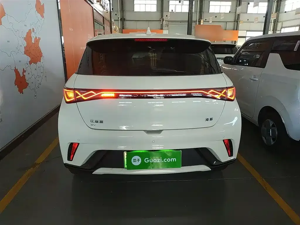 [object Object] Dolphin 2025 из CN, фото 6