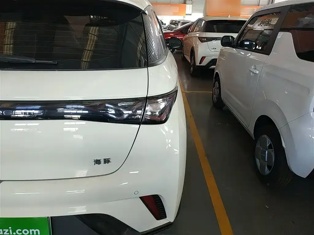 [object Object] Dolphin 2025 из CN, фото 8