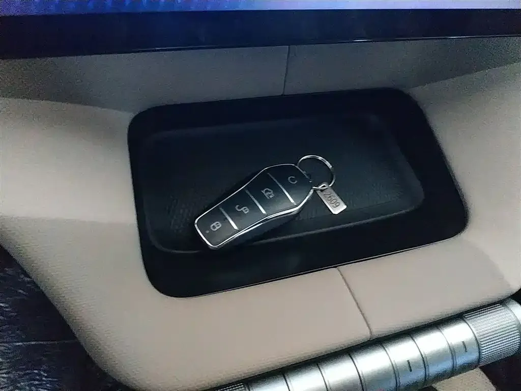 [object Object] Dolphin 2025 из CN, фото 9