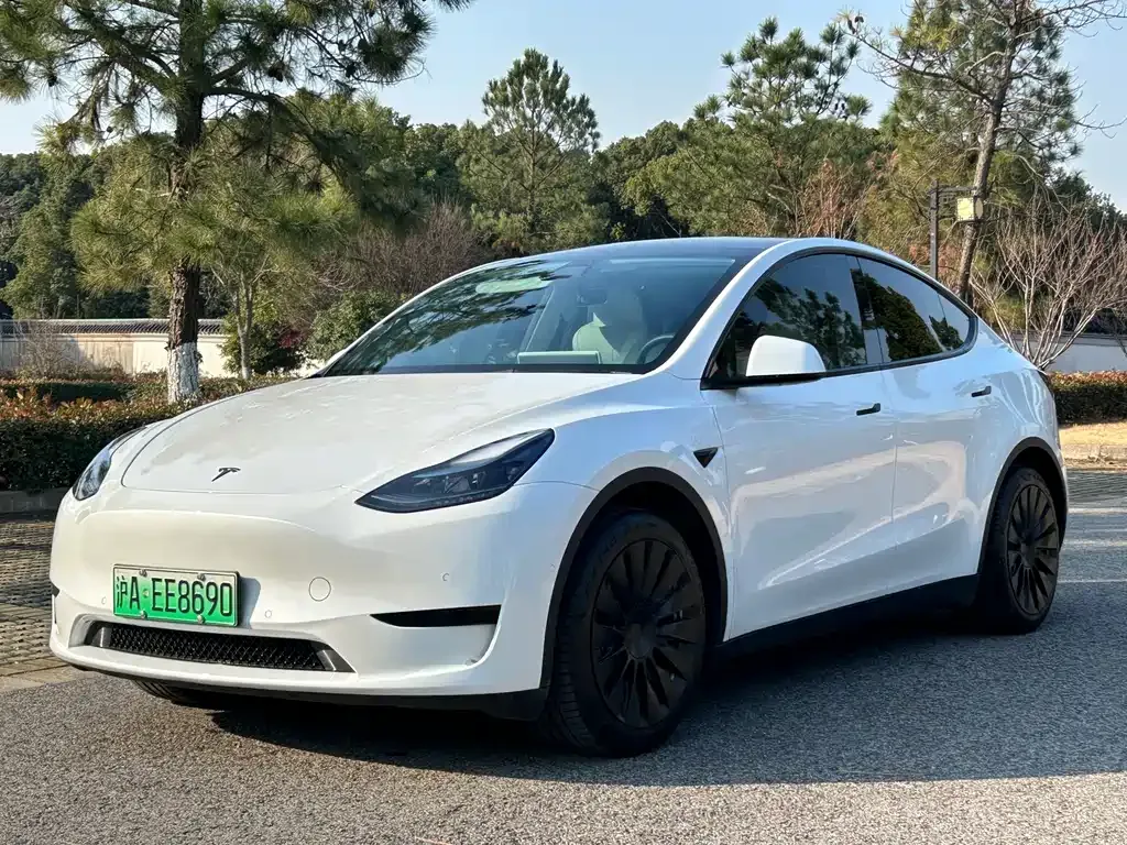 Tesla Model Y 2023 из CN, фото 1