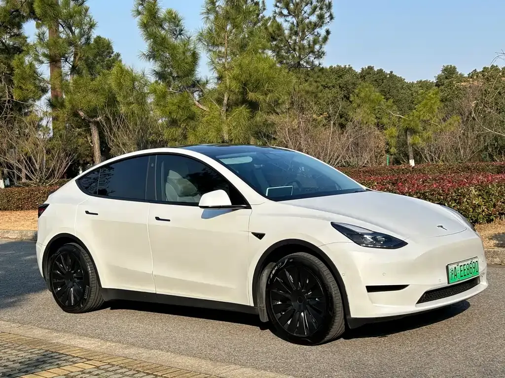 Tesla Model Y 2023 из CN, фото 8