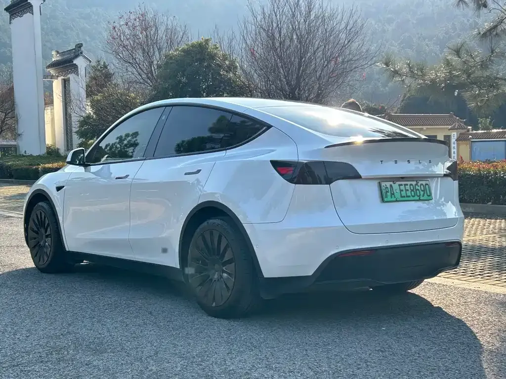 Tesla Model Y 2023 из CN, фото 6