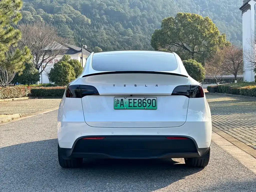 Tesla Model Y 2023 из CN, фото 7