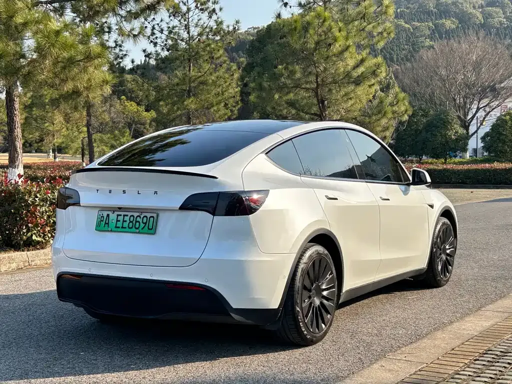 Tesla Model Y 2023 из CN, фото 10