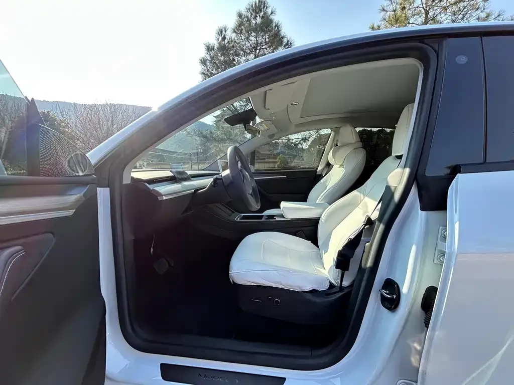 Tesla Model Y 2023 из CN, фото 5