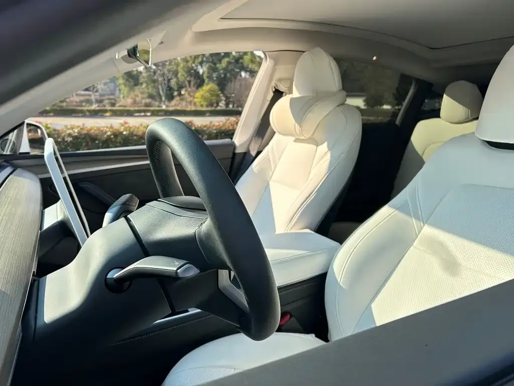 Tesla Model Y 2023 из CN, фото 9