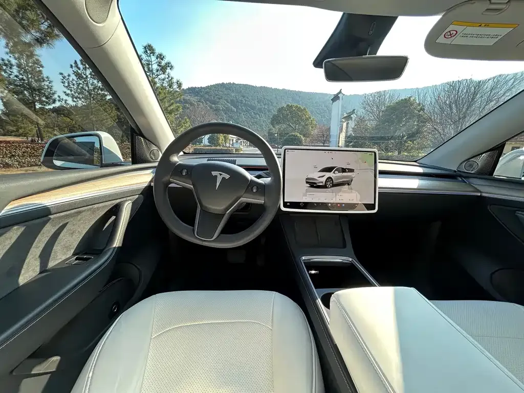 Tesla Model Y 2023 из CN, фото 3