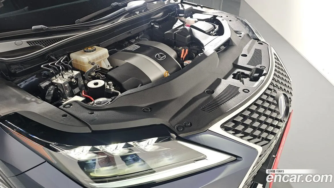 Lexus RX 2022 из KR, фото 6