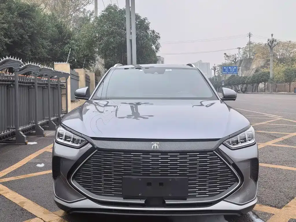BYD PLUS New Energy 2022 из CN, фото 10