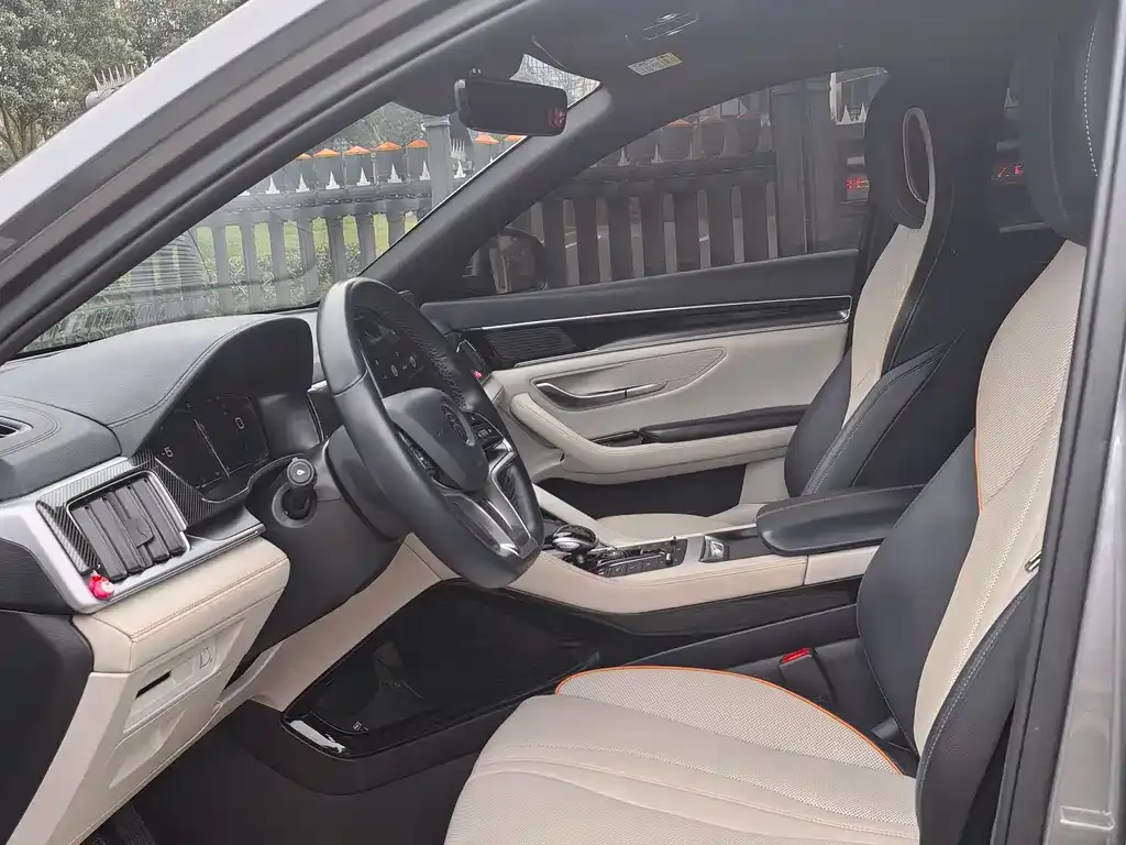 BYD PLUS New Energy 2022 из CN, фото 8
