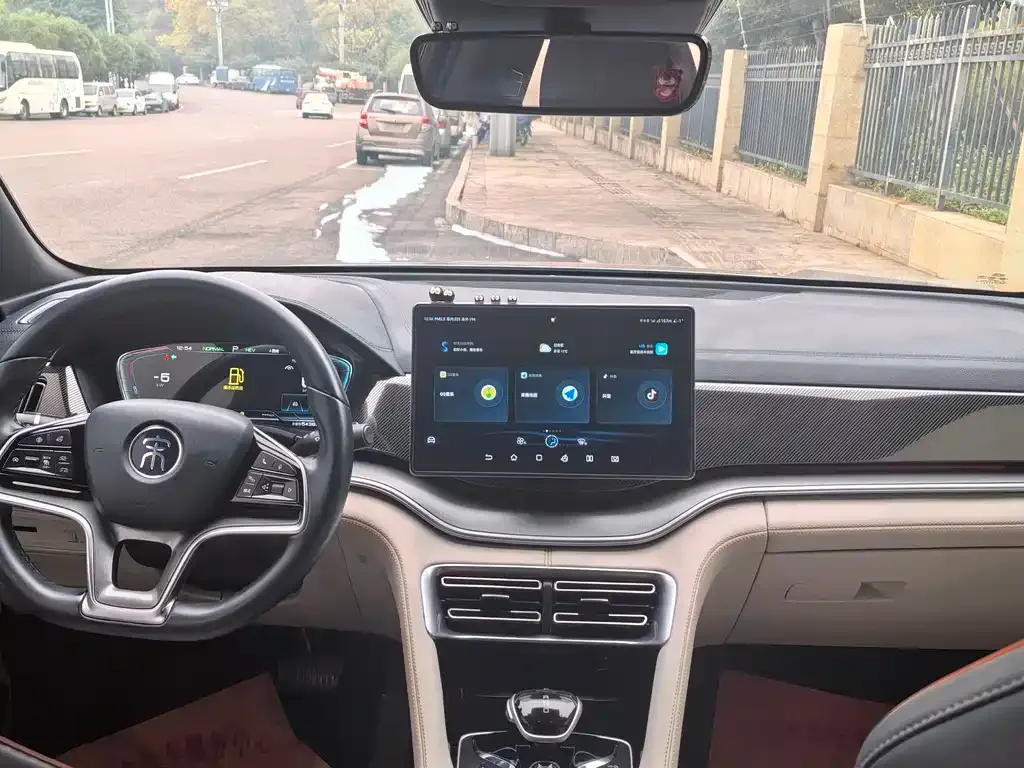 BYD PLUS New Energy 2022 из CN, фото 2