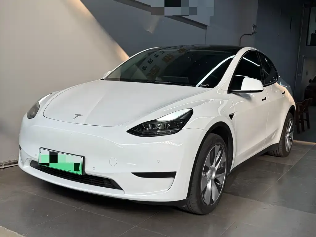 Tesla Model Y 2022 из CN, фото 1
