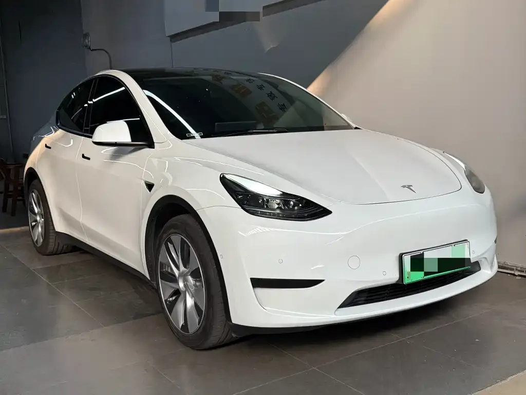 Tesla Model Y 2022 из CN, фото 3