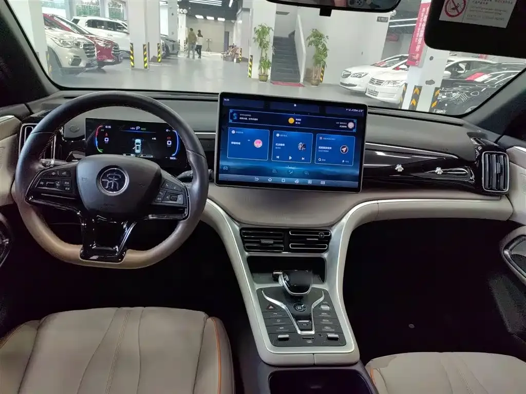 BYD Pro New Energy 2024 из CN, фото 3