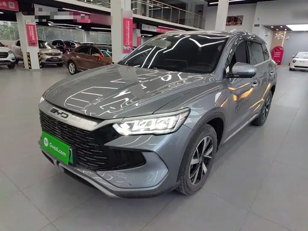BYD Pro New Energy 2024 из CN, фото 10