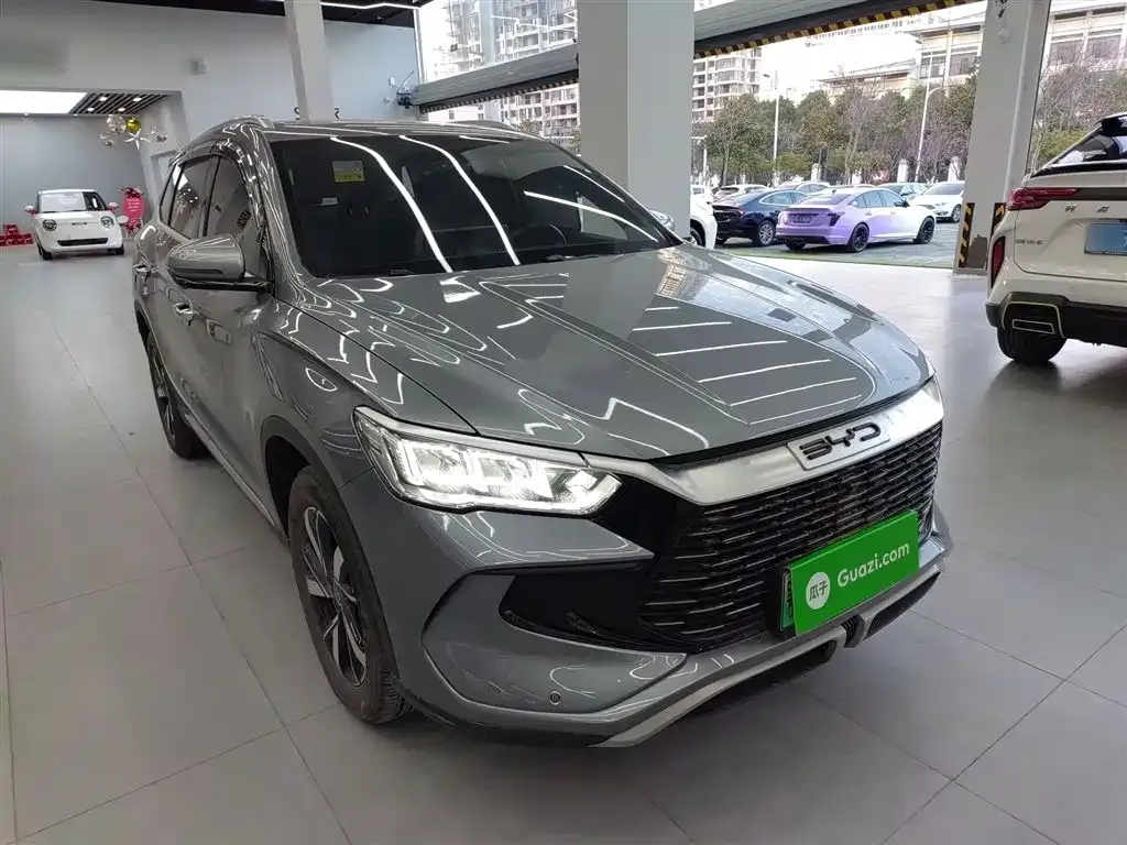 BYD Pro New Energy 2024 из CN, фото 6