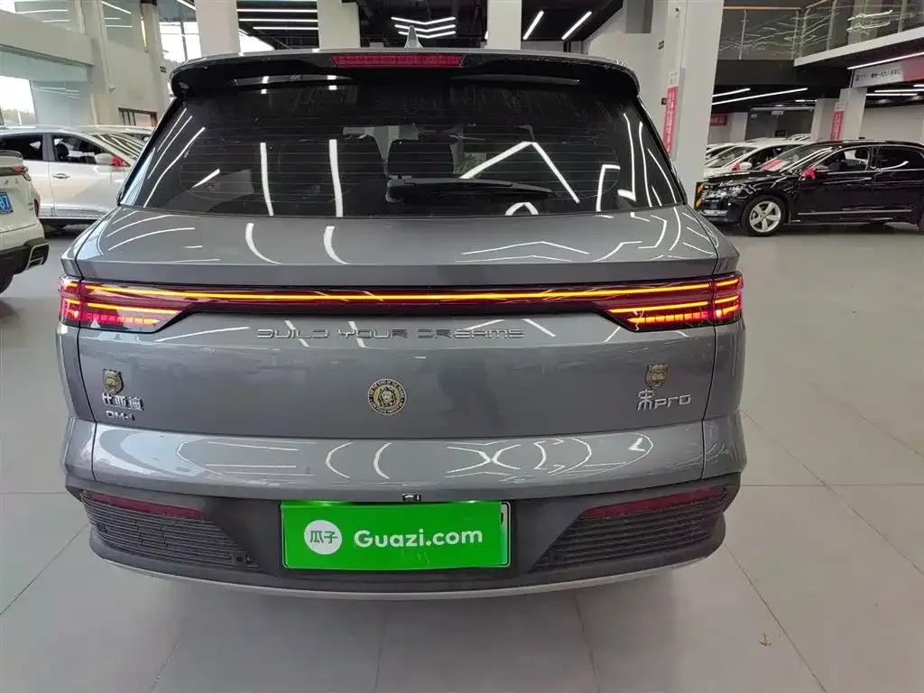 BYD Pro New Energy 2024 из CN, фото 7