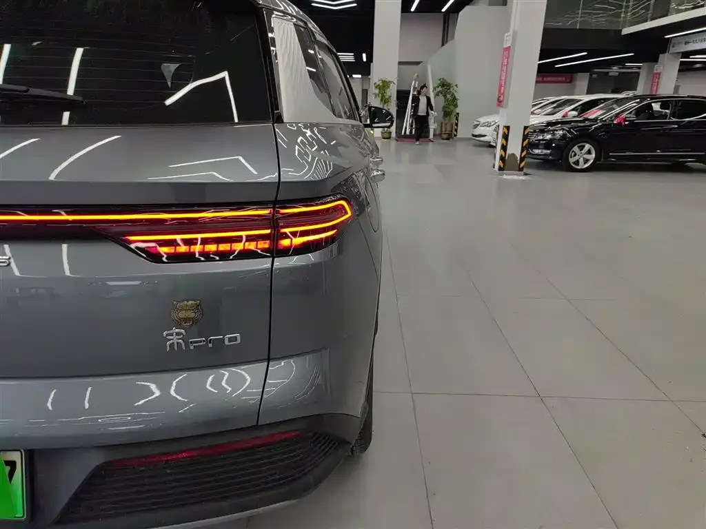 BYD Pro New Energy 2024 из CN, фото 5