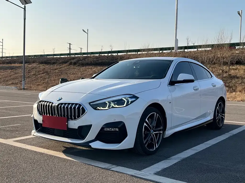 BMW 2 Series (Import) 2023 из CN, фото 1