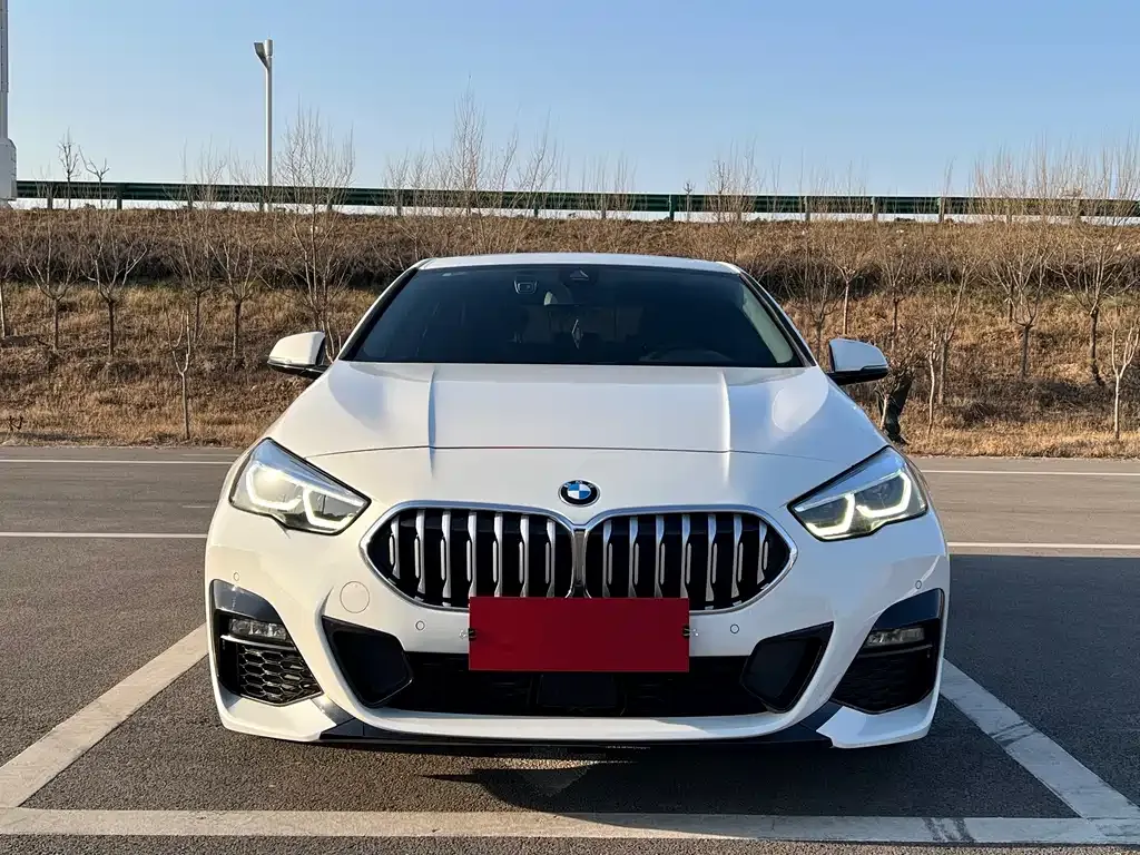 BMW 2 Series (Import) 2023 из CN, фото 2