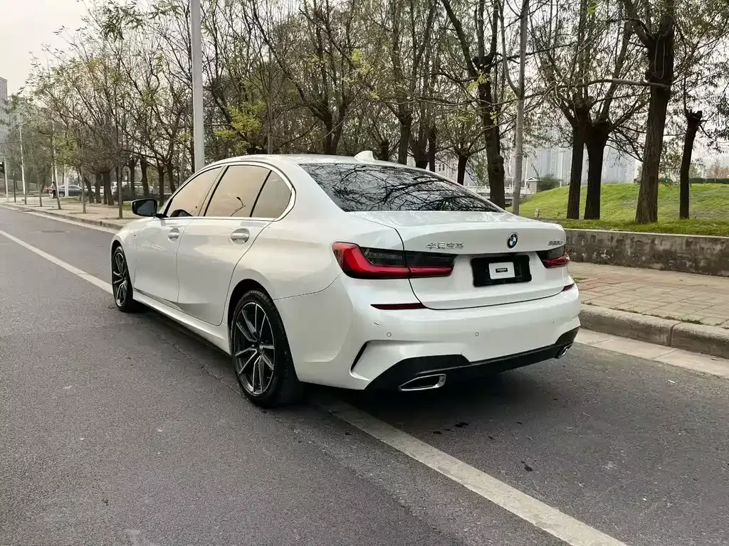 BMW 3 Series 2021 из CN, фото 7