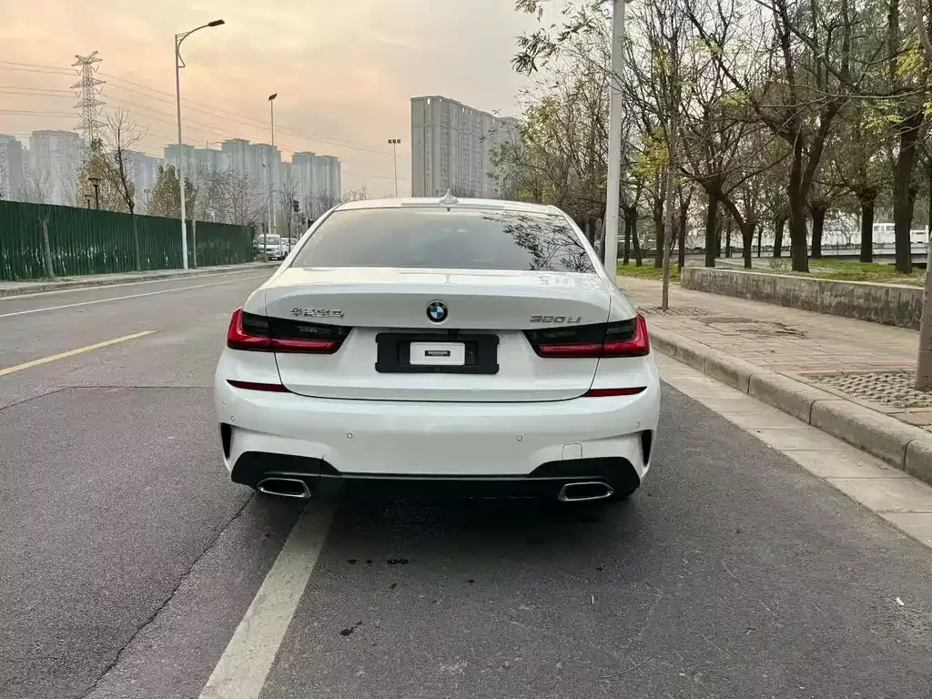 BMW 3 Series 2021 из CN, фото 5