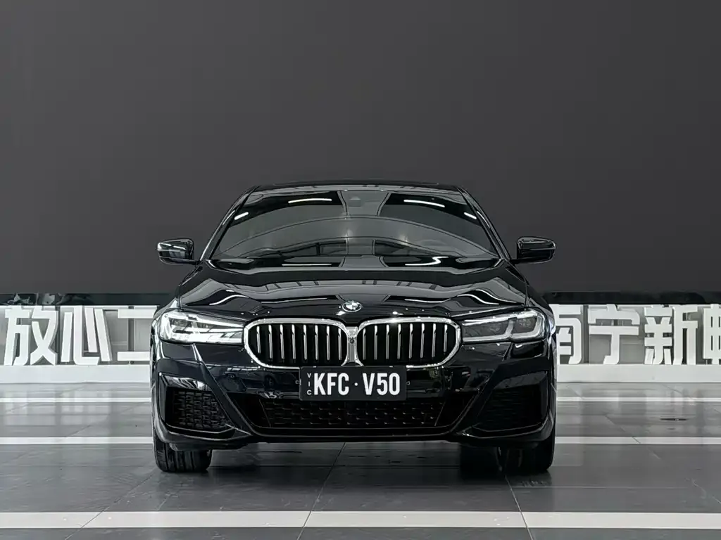 BMW 5 Series 2021 из CN, фото 2