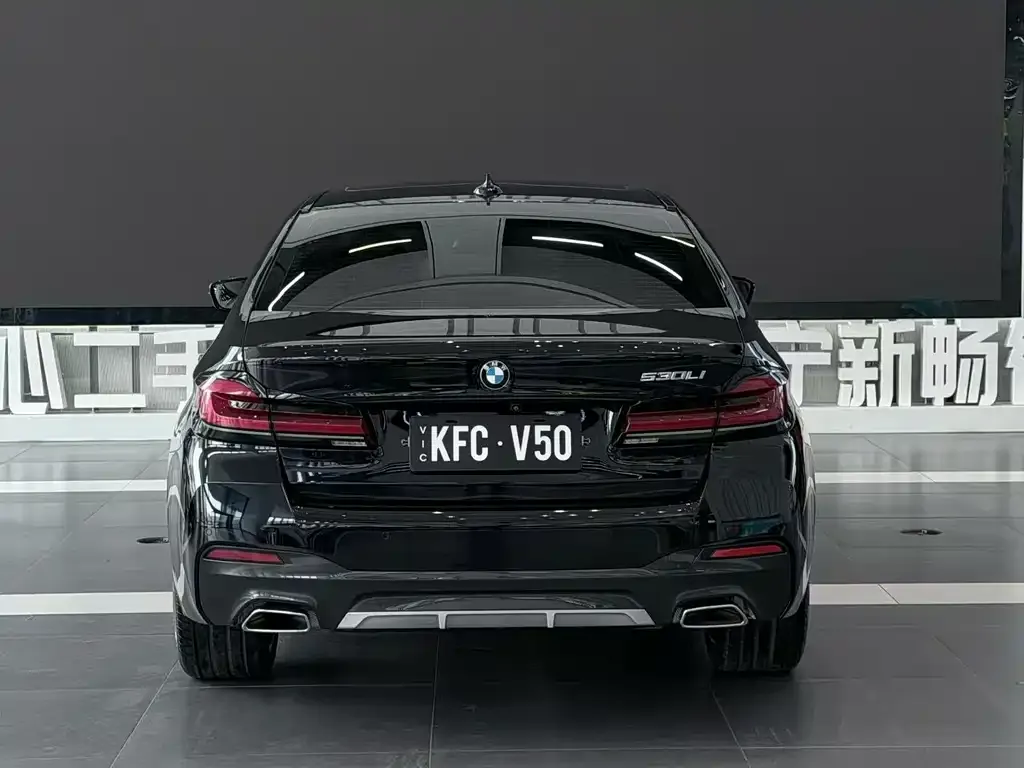 BMW 5 Series 2021 из CN, фото 6
