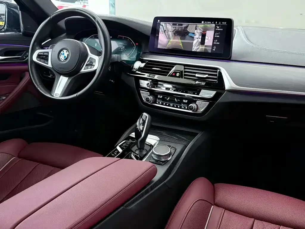 BMW 5 Series 2021 из CN, фото 7