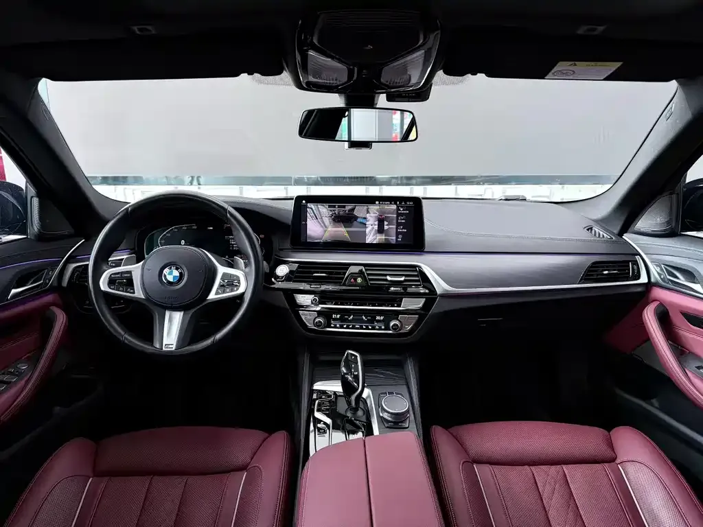 BMW 5 Series 2021 из CN, фото 8