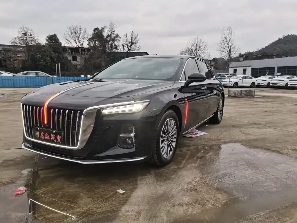 Hongqi H5 2024 из CN, фото 4