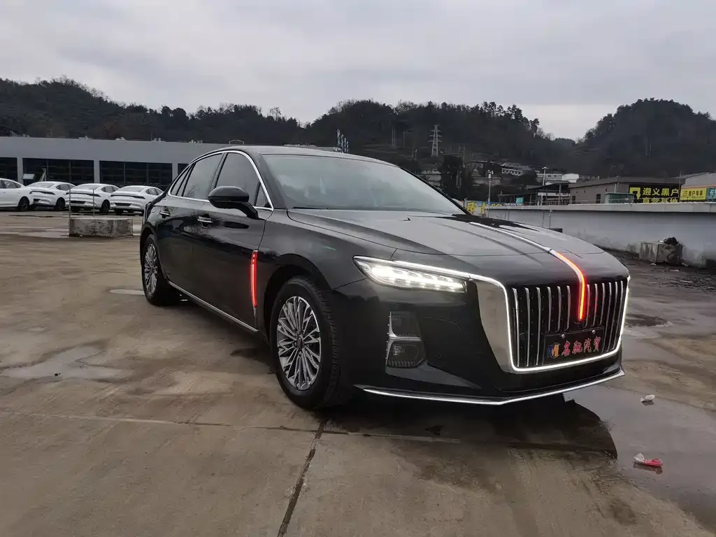 Hongqi H5 2024 из CN, фото 6