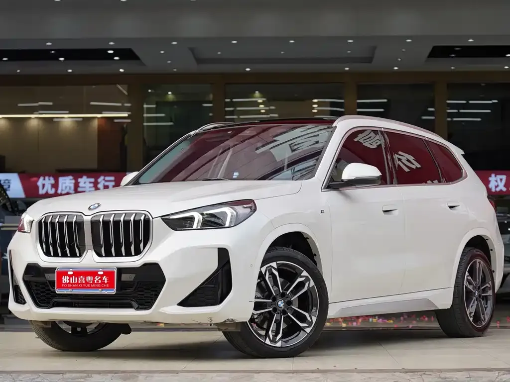 BMW X1 — фото 1