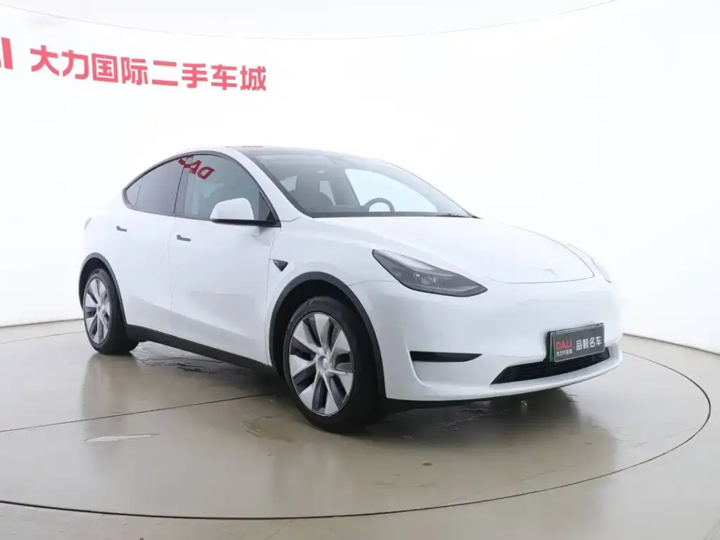 Tesla Model Y — фото 3
